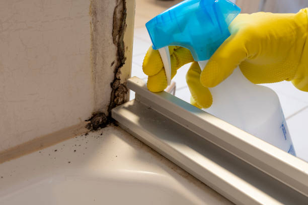 Best Mold Removal for HVAC Installations  in Leeds, AL